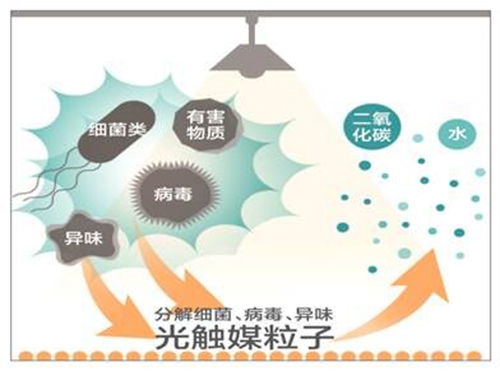尊龙凯时光触媒业务在中国正式启动